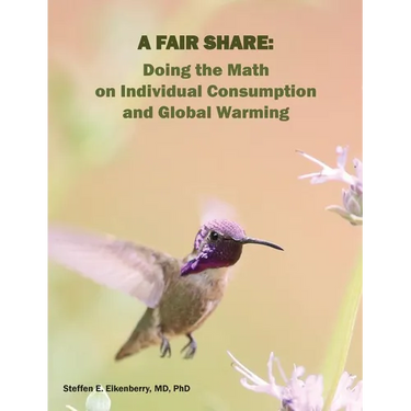 A Fair Share: Doing the Math on Individual Consumption and Global Warming