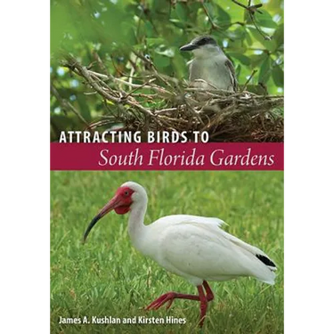 Attracting Birds to South Florida Gardens