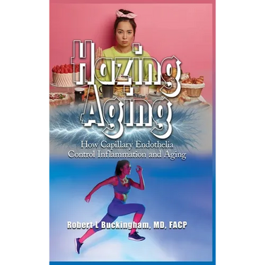 Hazing Aging: How Capillary Endothelia Control Inflammation and Aging
