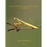 Praying Mantises of the United States and Canada