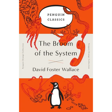 The Broom of the System