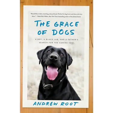 The Grace of Dogs: A Boy, a Black Lab, and a Father's Search for the Canine Soul