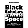 Black Scholars in White Space: New Vistas in African American Studies from the Christian Academy