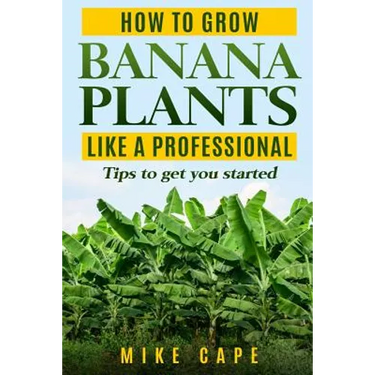 How to grow Banana Plants like a Professional: Beginner's guide and tips to get you started