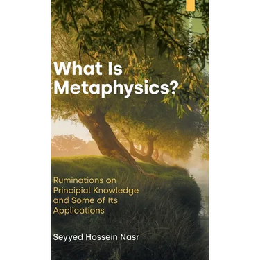 What is Metaphysics: Ruminations on Principial Knowledge and Some of Its Applications