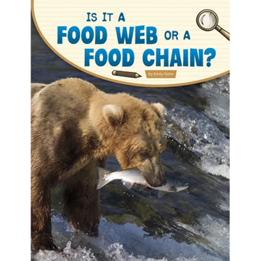 Is It a Food Web or a Food Chain?