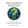 What in the World?: Brief Observations of the Human Condition