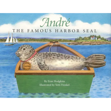 Andre the Famous Harbor Seal