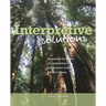 Interpretive Solutions