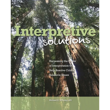 Interpretive Solutions