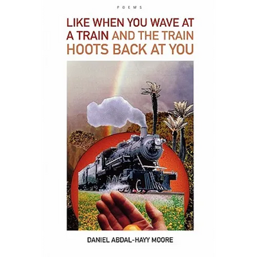 Like When You Wave at a Train / Poems