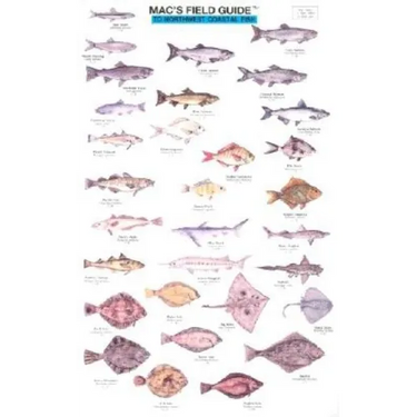 Mac's Field Guides: Northwest Coastal Fish