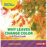 Why Leaves Change Color: A First Look