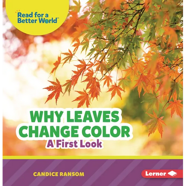 Why Leaves Change Color: A First Look