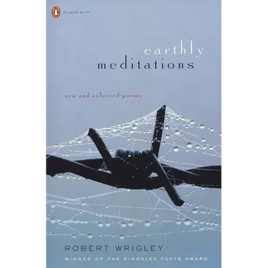 Earthly Meditations: New and Selected Poems