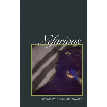 Nefarious: Poems