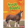 Horse Breeds