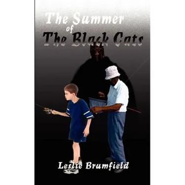 The Summer of the Black Cats