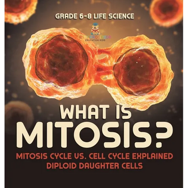What is Mitosis? Mitosis Cycle vs. Cell Cycle Explained Diploid Daughter Cells Grade 6-8 Life Science