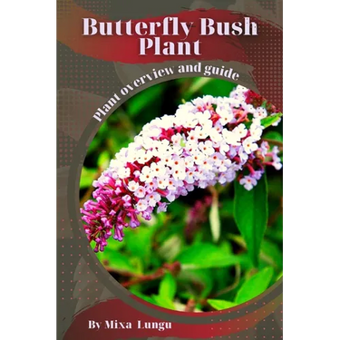 Butterfly Bush Plant: Plant overview and guide
