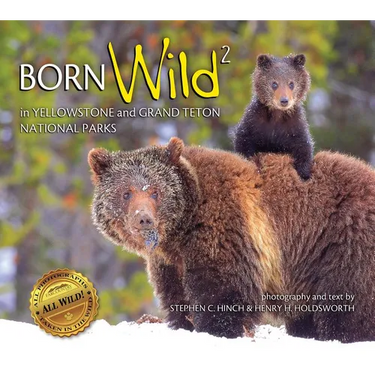 Born Wild 2: In Yellowstone and Grand Teton National Parks