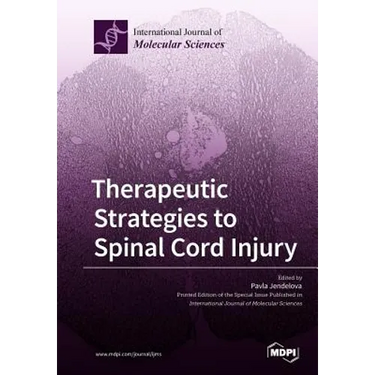 Therapeutic Strategies to Spinal Cord Injury