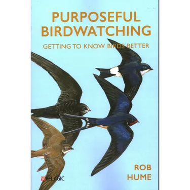 Purposeful Birdwatching: Getting to Know Birds Better