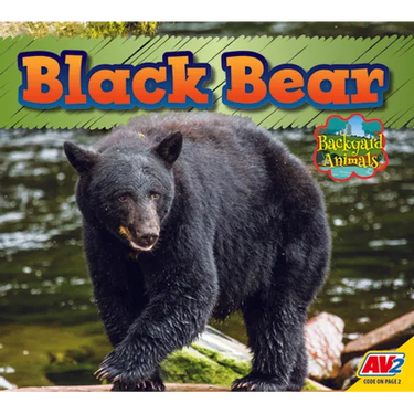 Black Bear