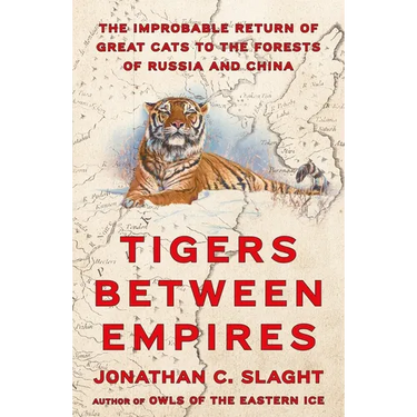 Tigers Between Empires: The Improbable Return of Great Cats to the Forests of Russia and China