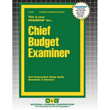 Chief Budget Examiner