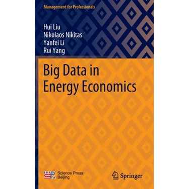 Big Data in Energy Economics
