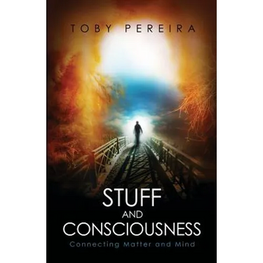 Stuff and Consciousness