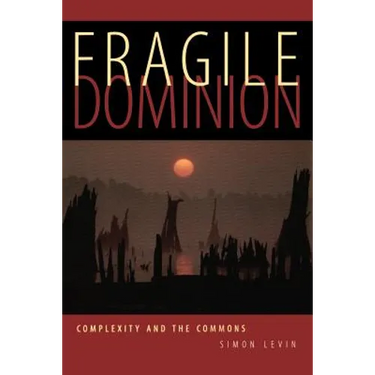 Fragile Dominion