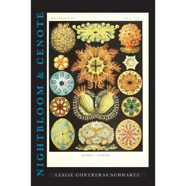 Nightbloom & Cenote