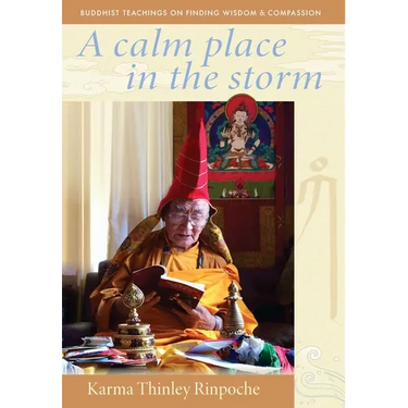 A Calm Place in the Storm: Buddhist Teachings on Finding Wisdom and Compassion