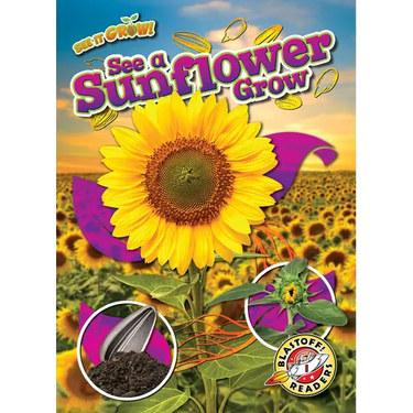 See a Sunflower Grow