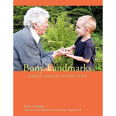 Bony Landmarks