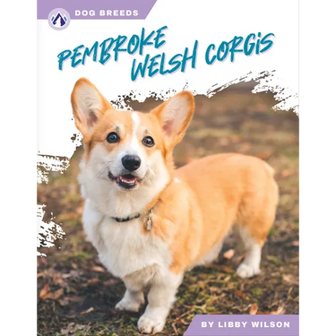 Pembroke Welsh Corgis