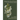 Manitoba Flora: A Guide to the Vascular Plants of Manitoba: Volume 1: Spore-Producing Plants, Conifers, and Monocots