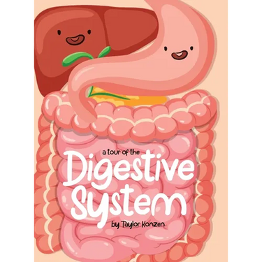 A Tour Of The Digestive System
