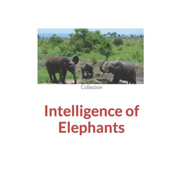 Intelligence of Elephants