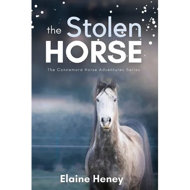 The Stolen Horse - Book 4 in the Connemara Horse Adventure Series for Kids The Perfect Gift for Children age 8-12
