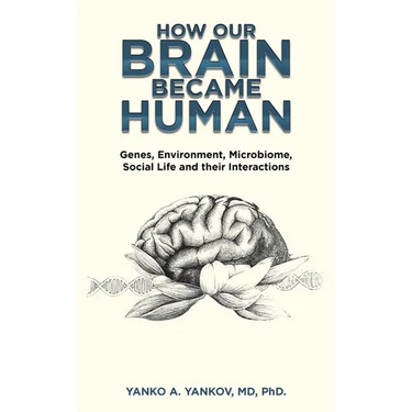 How Our Brain Became Human: Genes, Environment, Microbiome, Social Life and Their Interactions