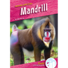 Mandrill