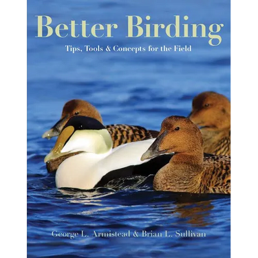 Better Birding: Tips, Tools, and Concepts for the Field