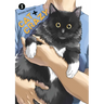 Cat + Crazy Volume 3
