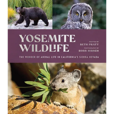 Yosemite Wildlife: The Wonder of Animal Life in California's Sierra Nevada