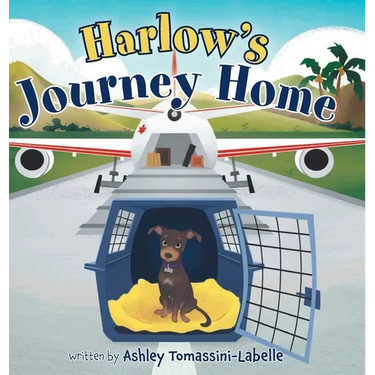 Harlow's Journey Home