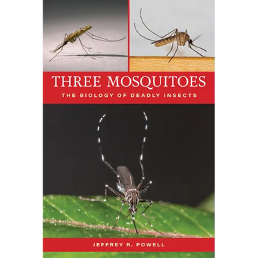 Three Mosquitoes: The Biology of Deadly Insects