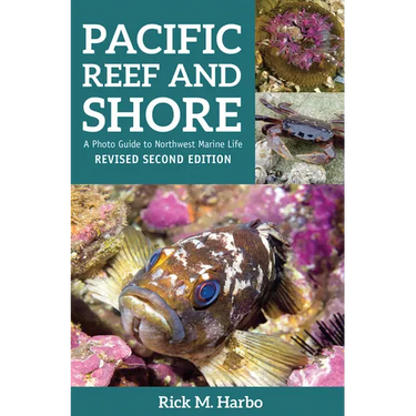 Pacific Reef and Shore